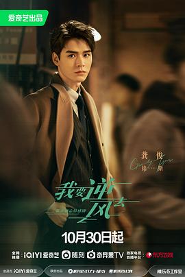 新安县seo优化找哪家